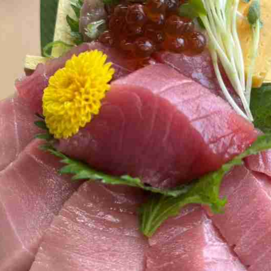 Bluefin Tuna Kaisen Don