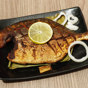 Fish