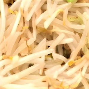 Veggie Chop Suey