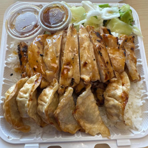 Chicken Breast & Gyoza