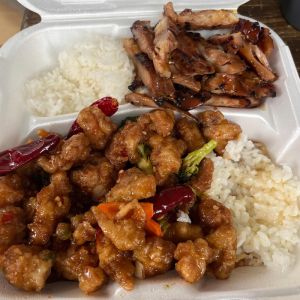 Teriyaki Wok Combo