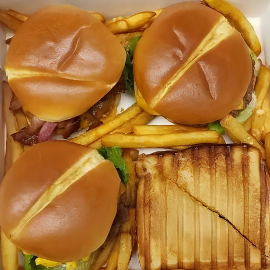 Burger Box with Large Fries (feed 4)