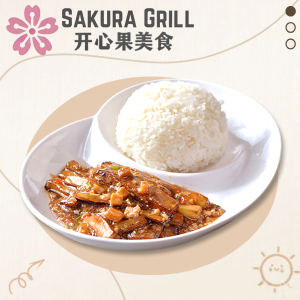 Eggplant with Ground Pork on Rice 肉末茄子饭