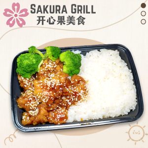 Orange Chicken on Rice 陈皮鸡饭