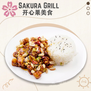 Kung Pao Chicken on Rice 宫保鸡丁饭