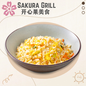 Egg Fried Rice 蛋炒饭