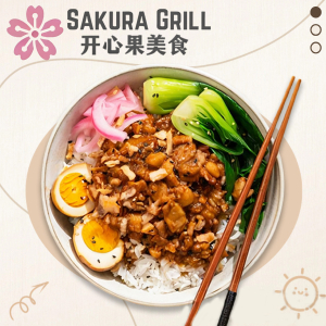 Braised Pork Belly on Rice 卤肉饭