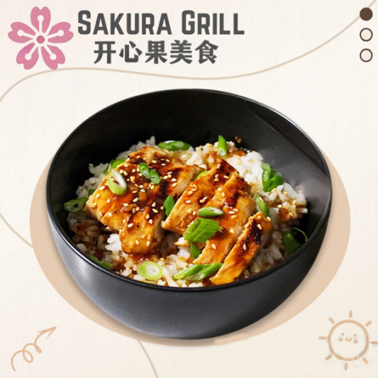 Fried Chicken with Teriyaki Sauce on Rice 照烧炸鸡排饭