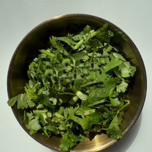 Cilantro 芫茜