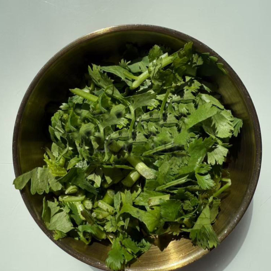 Cilantro 芫茜