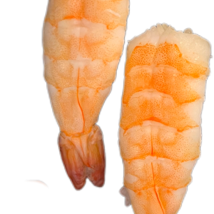 G13. Ebi Nigiri (2 pcs)