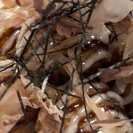 A4. Takoyaki (6 pcs)