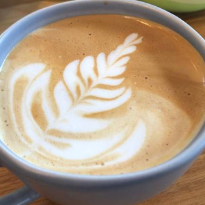 Cafe: Hot Latte Series