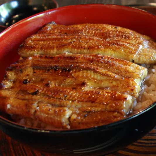 Unagi Donburi