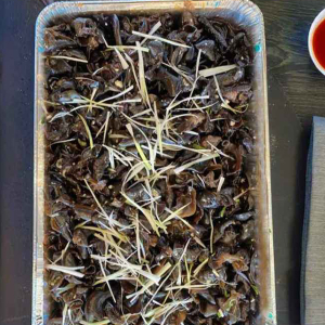 Party Tray with Black Fungus Salad (5 Servings)