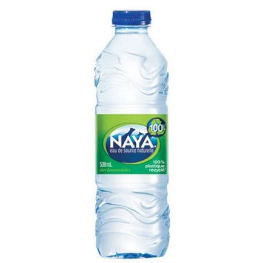 Bottled Water (500 ml)