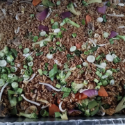 Vegetable Fried Rice