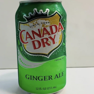 Ginger Ale (12 oz)