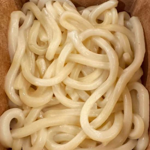 Udon Noodles
