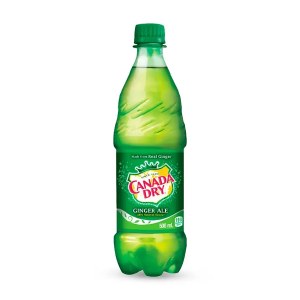 Bottled Ginger Ale (500ml)