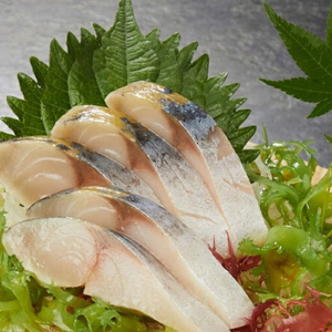 Saba Sashimi