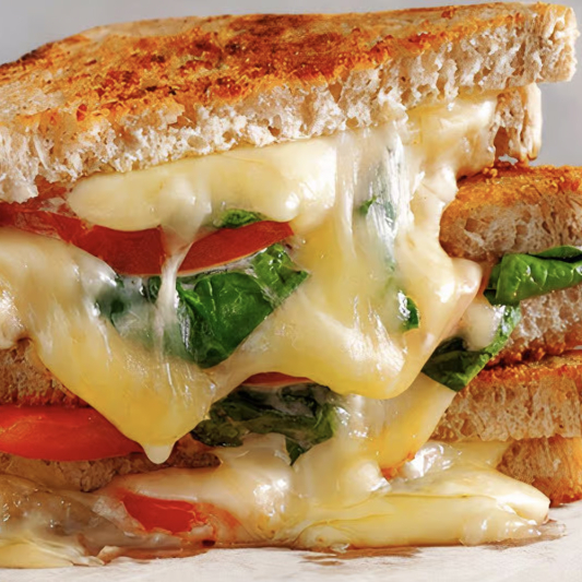 Grilled Vegetable Cheese Sandwich