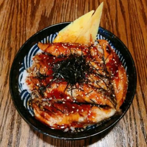 Unagi Don