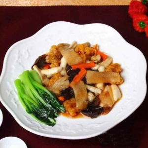 Braised Buddha Delight with Bamboo Fungus 竹筆静湖上素