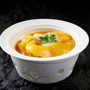 Braised Premium Shark's Fin with Chicken