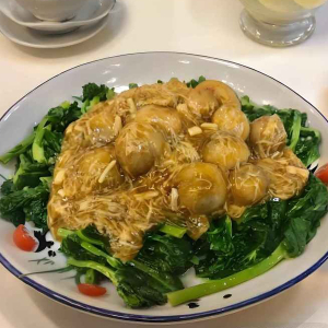 Braised Snow Pea Leaves with Fresh Mushrooms 鮮珍菌扒豆苗