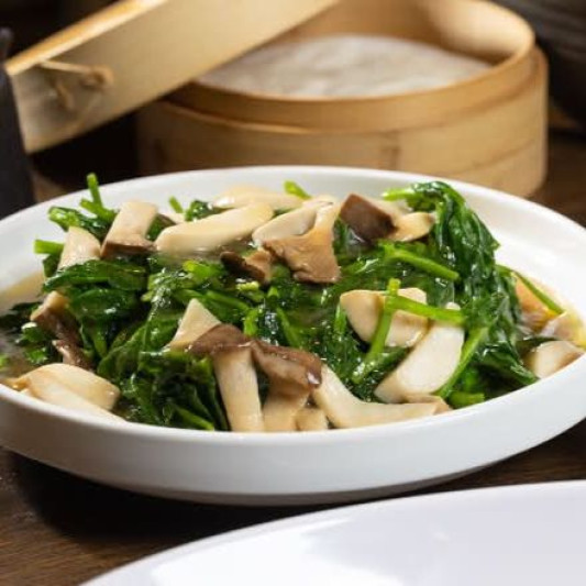 Stir-Fried Pea Sprouts with King Oyster Mushrooms 皇子菇豆苗