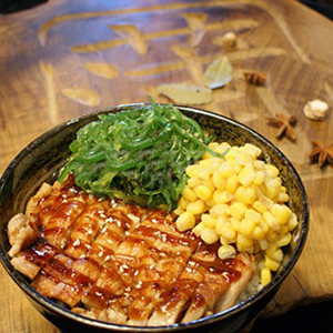 E004. Teriyaki Chicken with Rice