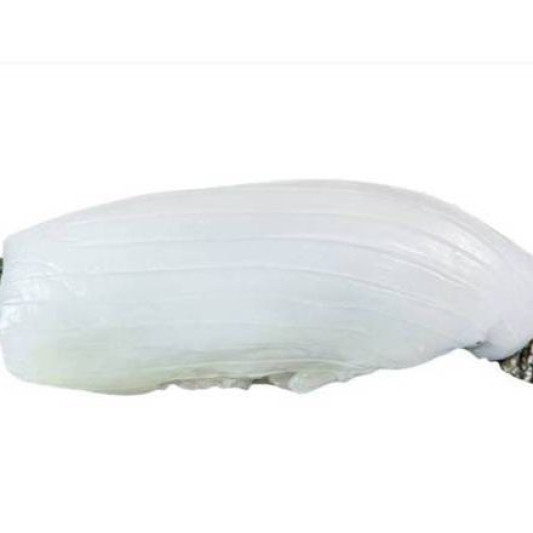 Ika (Squid) Nigiri (3 pcs)