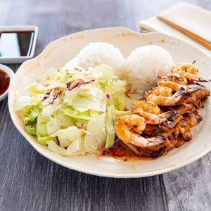 Chicken and Shrimp Combo