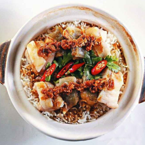 Special Recommendations