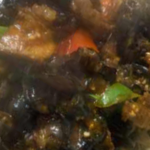 Beef Saut&eacute;ed with Black Mushrooms / B&oelig;uf saut&eacute; aux champignons noirs