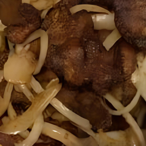 Cumin Beef / B&oelig;uf au cumin