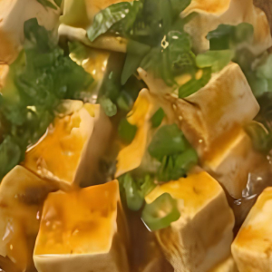 Mapo Tofu with Minced Beef / Tofu mapo avec b&oelig;uf hach&eacute;