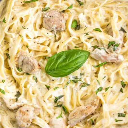 Chicken Alfredo