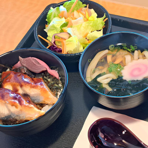 Mini Unagi Don Combo