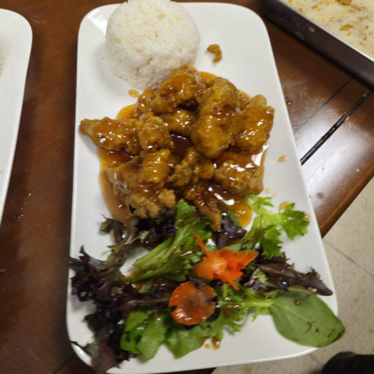 Sweet and Sour Chicken with Rice