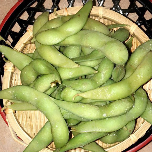 Edamame 에다마메