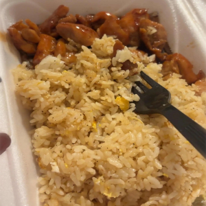 Chicken Teriyaki (Kids Hibachi)