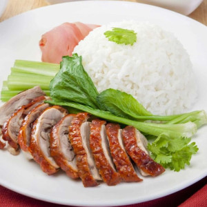 Rice and BBQ Duck 烧鸭饭 