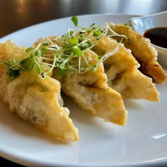 Meat Dumplings