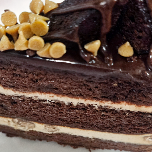 Peanut Butter Chocolate Cake