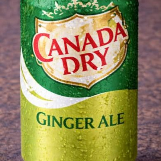 Ginger Ale (355ml)