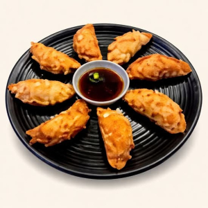 Jumbo Fried Handmade Dumplings / 왕군만두