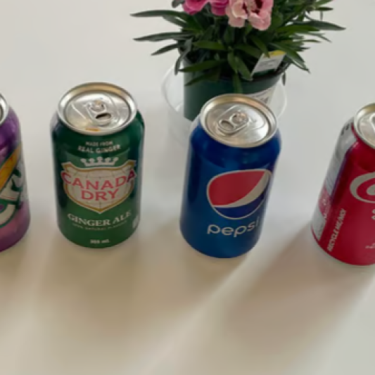 80. Pop (Canned)