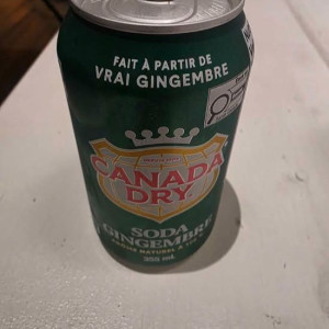 Canada Dry (Ginger Ale)